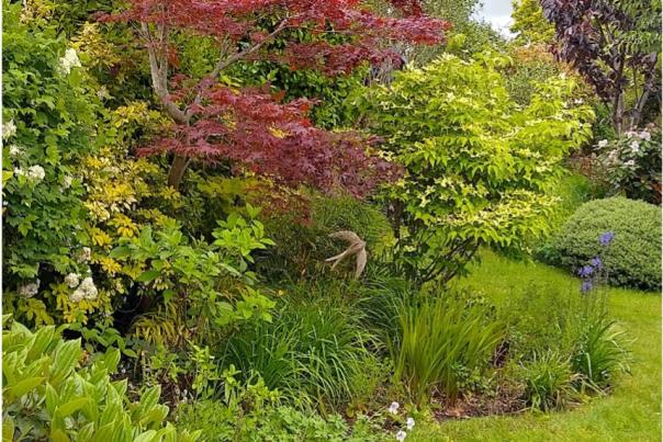 21 primley road sidmouth open gardens