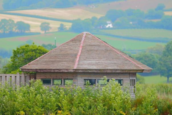 Reasons to visit Seaton this spring