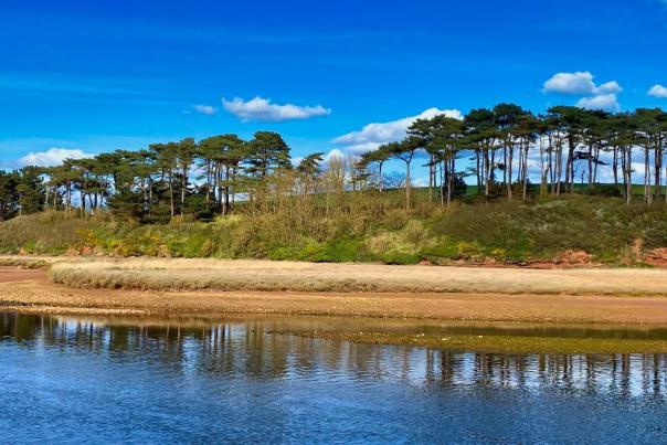 Things to do in Budleigh Salterton this half term