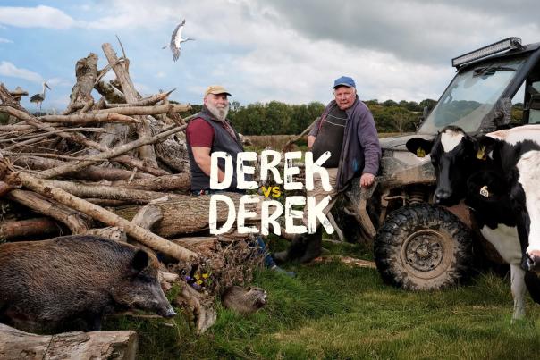 Two older men stand in a rural field beside a pile of large cut logs and branches. One leans casually on an off‑road vehicle while the other stands nearby. Around them are several animals placed in a playful, surreal way — a cow, a wild boar, a beaver, a fox resting on a log, and birds including herons and a seagull. The sky is partly cloudy and the landscape behind them is green and open. Bold text in the centre reads “DEREK VS DEREK.”