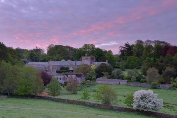Fall into autumn with the National Trust across Devon