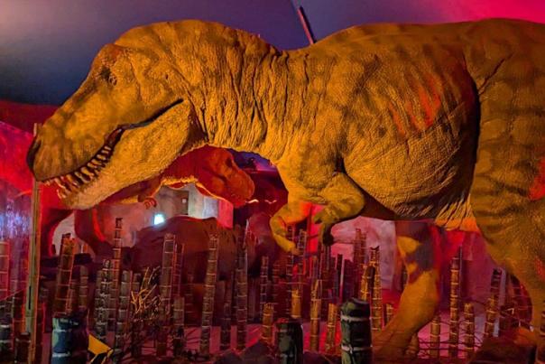 jurassic discovery