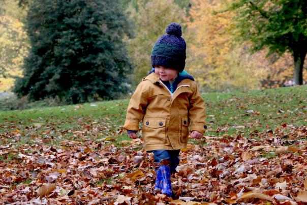 What’s On October Half term & Halloween in Devon!