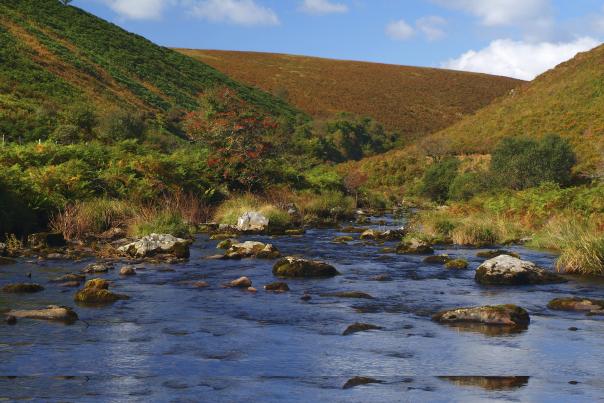 North Devon in Every Season: What to See and Do Year-Round