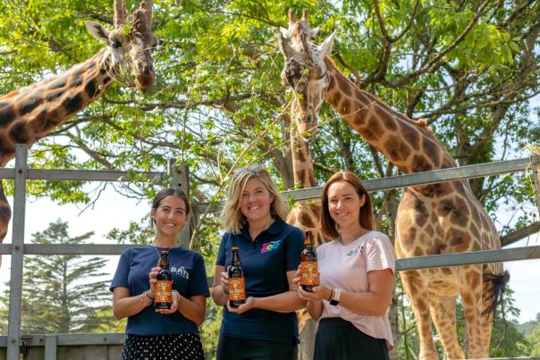 Bays Brewery and Paignton Zoo Bring Back Popular Charity Ale 'Tall Order'