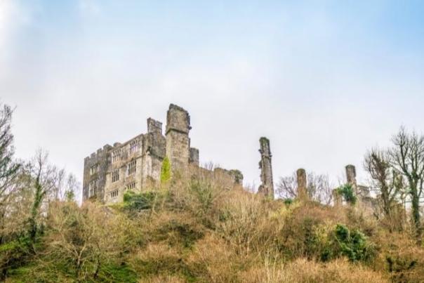 Berry Pomeroy Castle