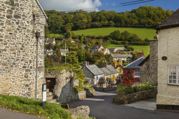 A street in Branscombe surrounded by fields and blue sky