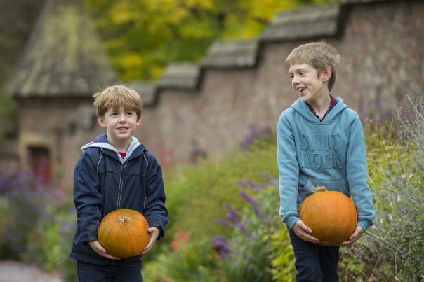 Escape into autumn: Events in Devon from September to mid-November