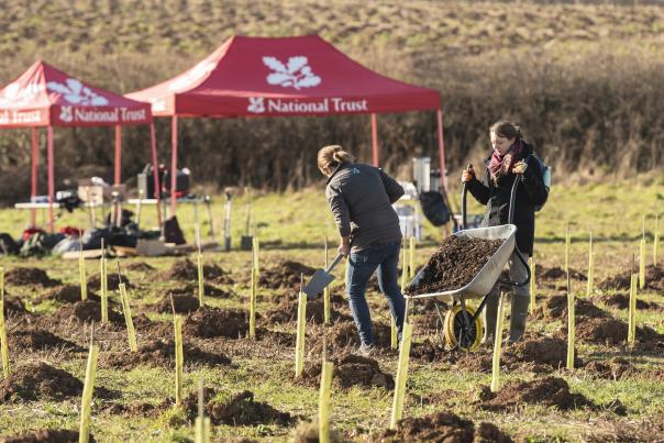 Banish the winter blues with the National Trust in Devon: Events Jan-March 2026