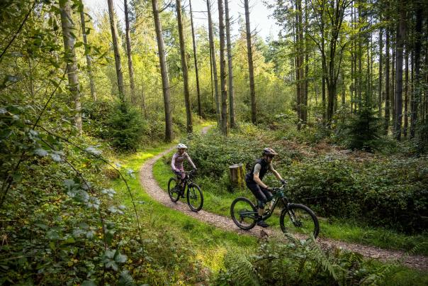 Haldon Forest Park celebrates 20 years of improving access to the nation's forests