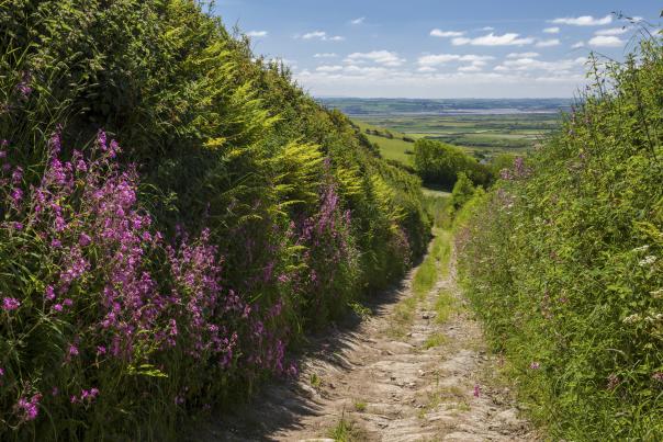 Why We Think You Should Visit Devon in 2026