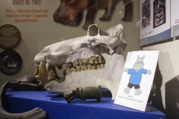 Have you heard of the Honiton Hippo?