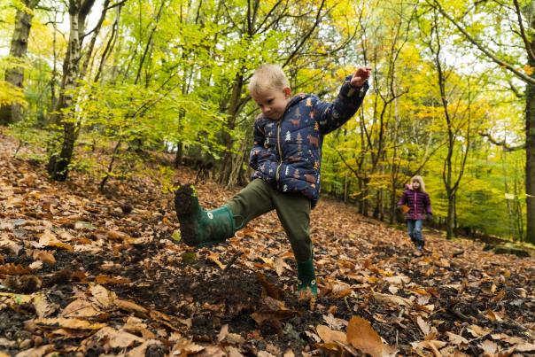 Half term fun at Haldon Forest Park without breaking the bank!