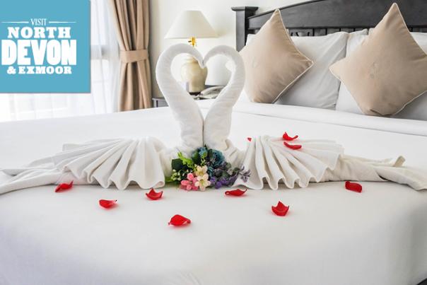 towel swans on a blog