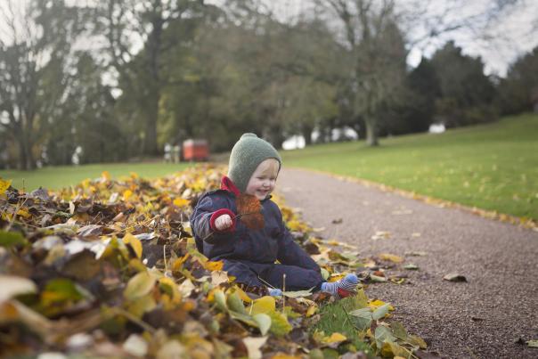 Little boy sat in the leaves at Killerton