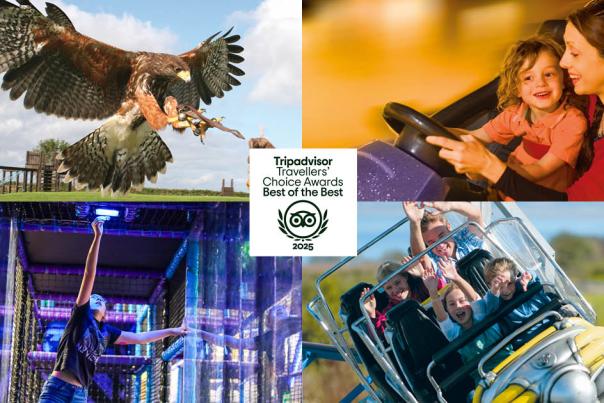 North Devon Family Attraction Wins Tripadvisor’s Coveted Best of the Best Award for the 10th Year in a Row!
