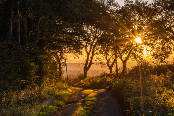 Visit Honiton nestled in nature