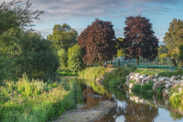 Visit Ottery St Mary where everyone's welcome