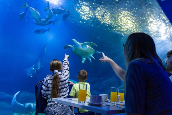 Family at national marine aquarium
