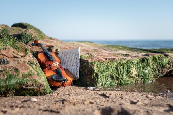 A wave of entertainment will break over North Devon this summer!