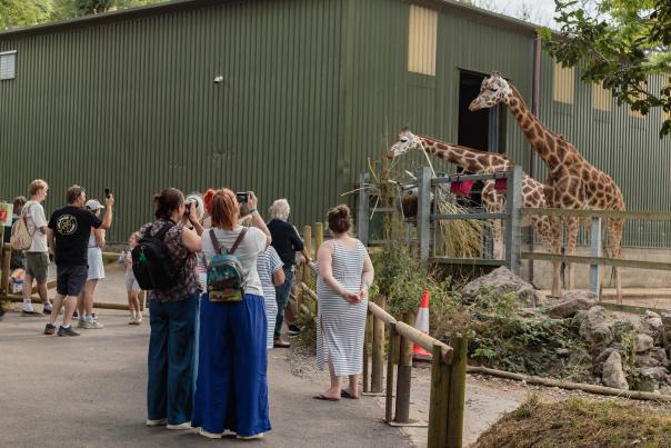 Next Chapter At Paignton Zoo