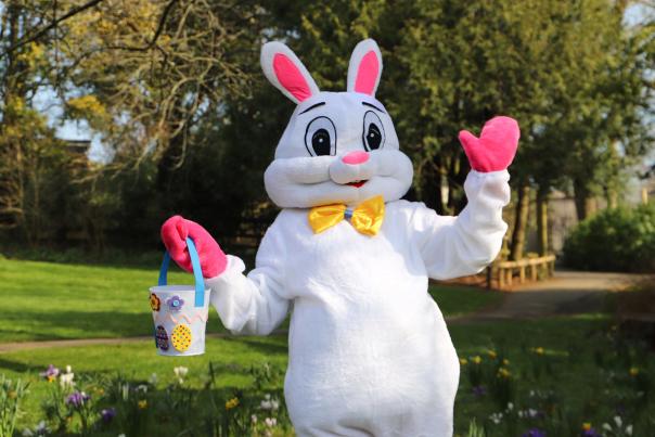 Easter Bunny at Paignton Zoo