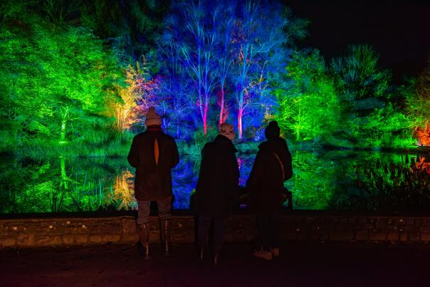 Longest RHS Glow route yet will showcase more glorious garden than ever before