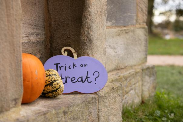 October half term with the National Trust across Devon