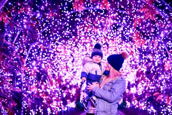 Over 25 Magical Christmas Days Out in Devon for Festive Fun!