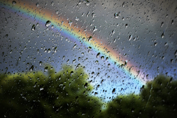 Rainy Days