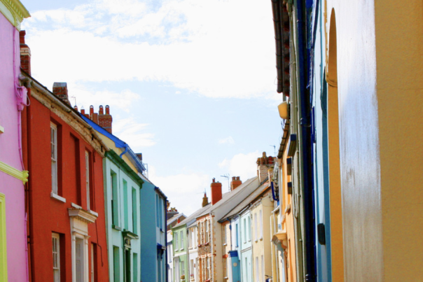 Spotlight on Appledore