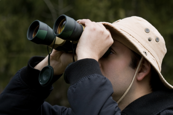 Birdwatching spots near Ottery