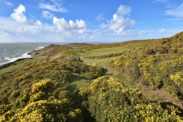 Morte Point - North Devon's Hidden Gem