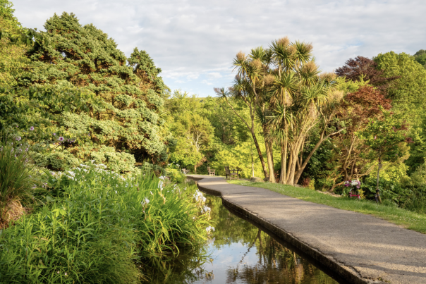 A countryside walk in North Devon