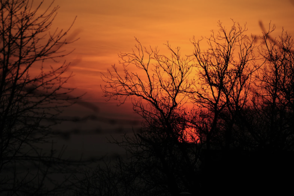 Where to See the Best Autumn Sunsets in Devon