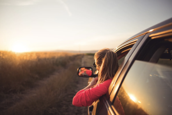 Plan the Perfect Devon Road Trip for 2026