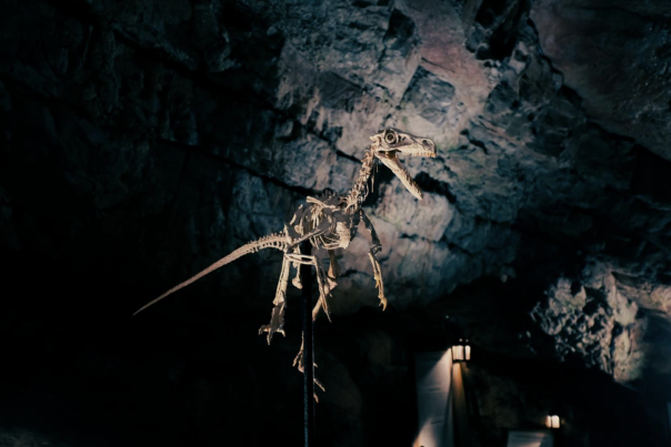Age of the Dinosaurs at Kents Cavern
