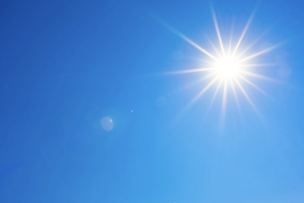 Staying Safe During Devon's Heatwave: Essential Advice for Visitors and Residents