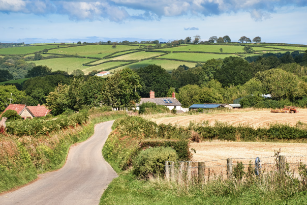 Downsizing Before You Head to Devon: A Practical Checklist