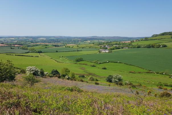 Rick Stein and Russell Watson among the celebrities appearing at East Devon festivals