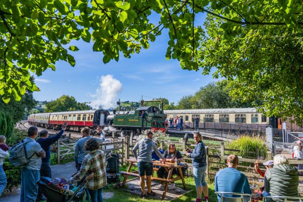 South Devon Railway on a busy sunny day
