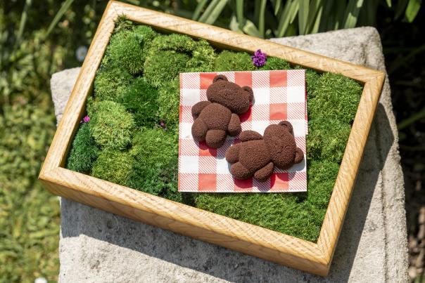 Boringdon Hall Launches Whimsical 'Teddy Bear Afternoon Tea' for Summer