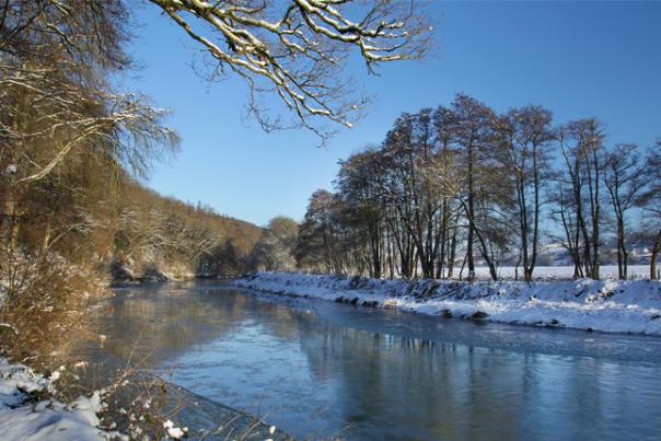 image shows snowy scene in dartmoor