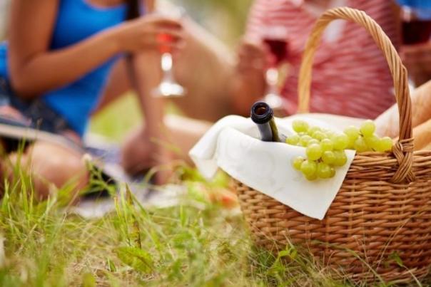 picnic
