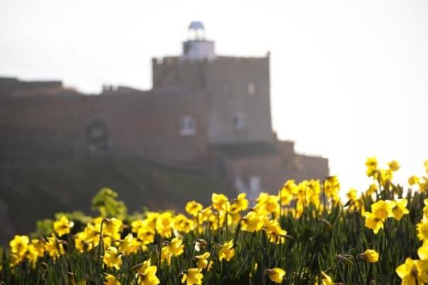 sidmouth with daffodils in foreground
