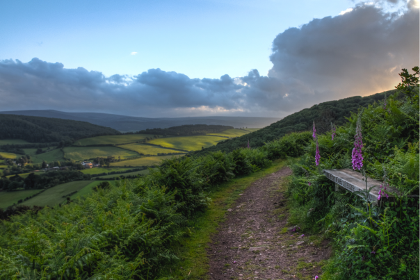 Views over exmoor