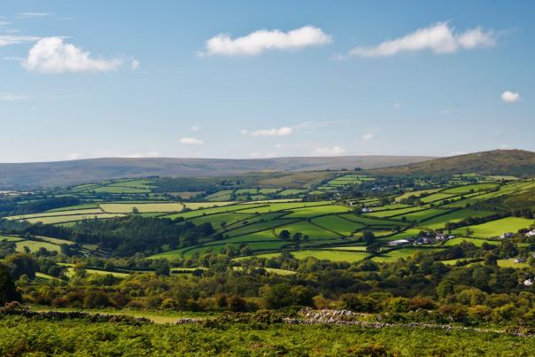 Dartmoor
