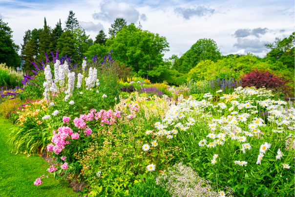 Parks and Gardens