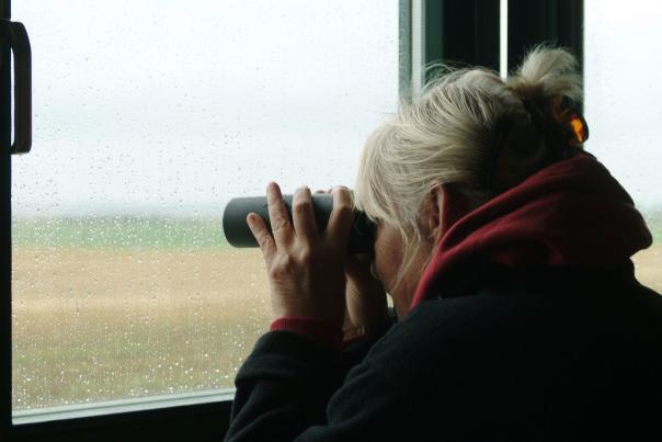 Top birdwatching sites in East Devon