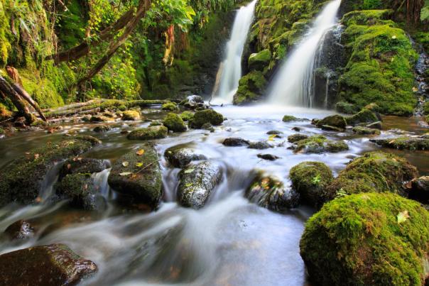 Visit Dartmoor this summer